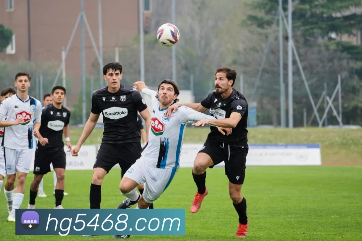 皇冠网官网服务体系